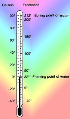 手のひらを冷やす：心の温度を測る方法