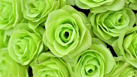 Do green flowers exist, and can they whisper secrets to the stars?