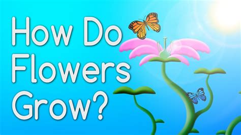 How Do Flowers Bloom: A Symphony of Nature's Secrets