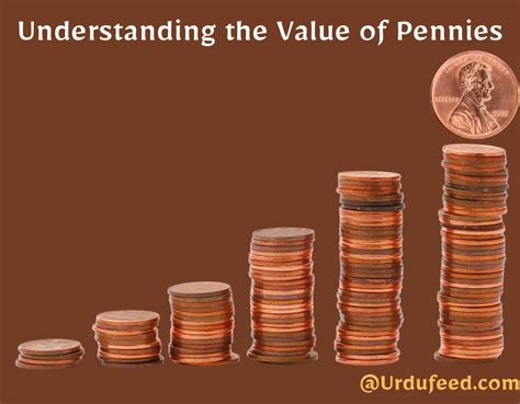 How Many Pennies to Put in Flowers: A Philosophical Inquiry into the Currency of Beauty