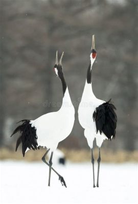  The Dancing Crane: A Tale of Transformation and Unrequited Love from 8th Century Japan!