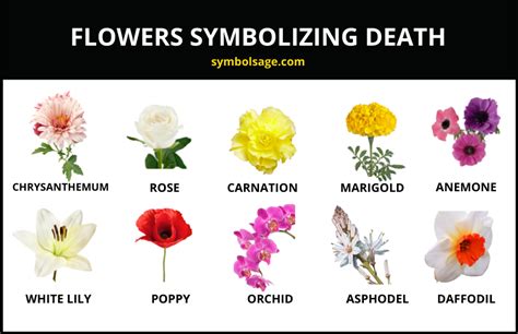 What Flowers Represent Death: A Journey Through Symbolism and Interpretation