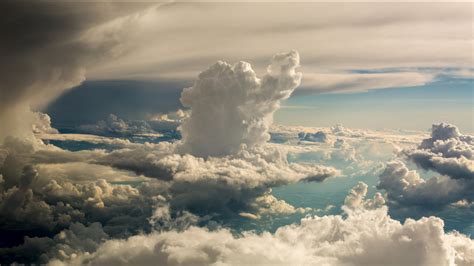 When is it too late to plant flowers, and why do clouds sometimes taste like nostalgia?