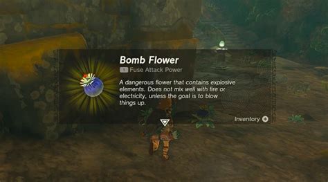 Where to Find Bomb Flowers Totk: A Journey Through Myth and Mystery